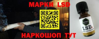 прущие грибы Ставрополь