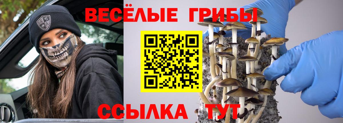 Псилоцибиновые грибы Psilocybine cubensis Нурлат