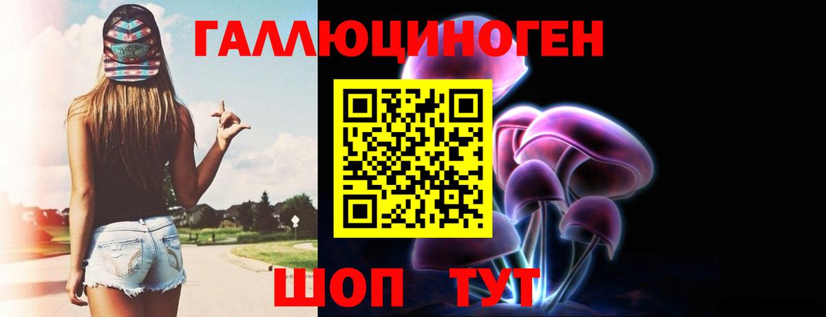 закладка  Псилоцибиновые грибы Psilocybine cubensis  Вход с VPN  Нурлат 